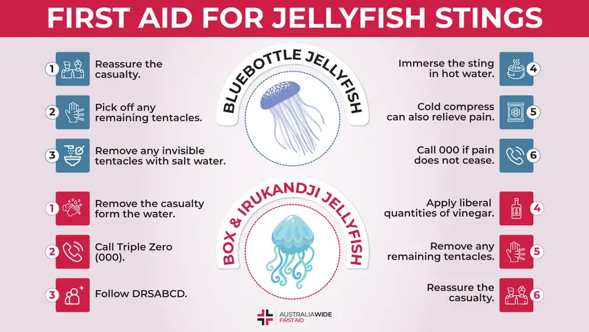 Infographic about First Aid for Jellyfish Stings