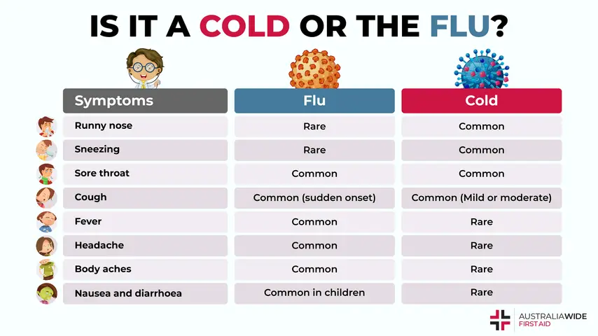 Table Differences Between Cold and Flu